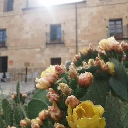 Palacio De